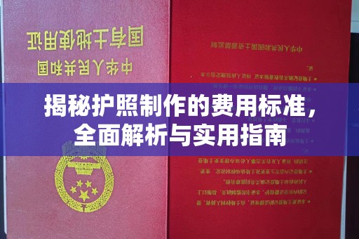 铜仁揭秘护照制作的费用标准，全面解析与实用指南